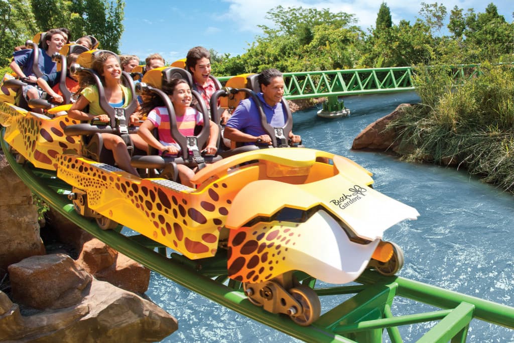 Busch Gardens Tampa theme park