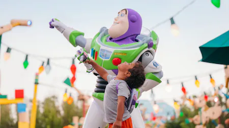 Combo Deals theme park